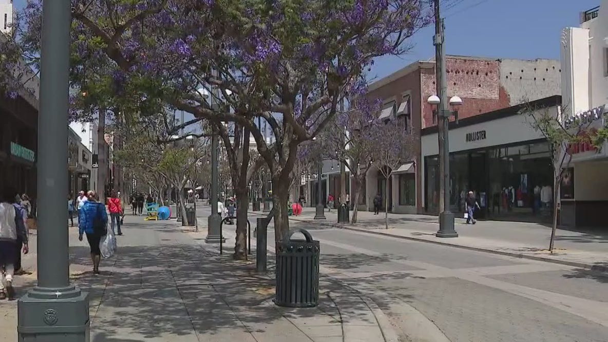 Santa Monica 3rd Street Promenade entertainment zone approved